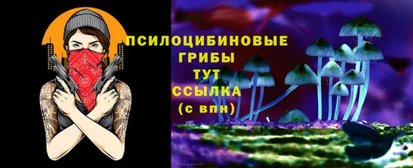 Альфа ПВП Вязники