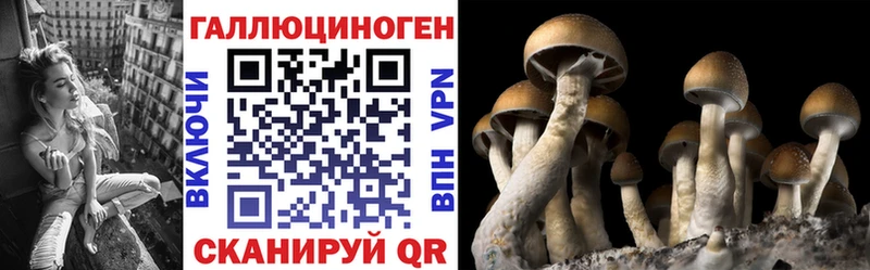 Галлюциногенные грибы Magic Shrooms  Нерюнгри 