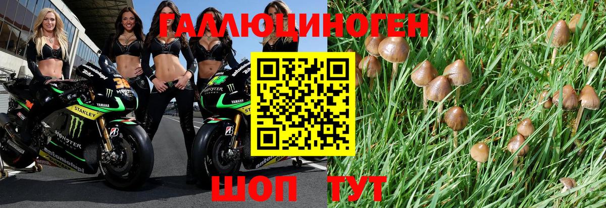 Галлюциногенные грибы прущие грибы Нерюнгри